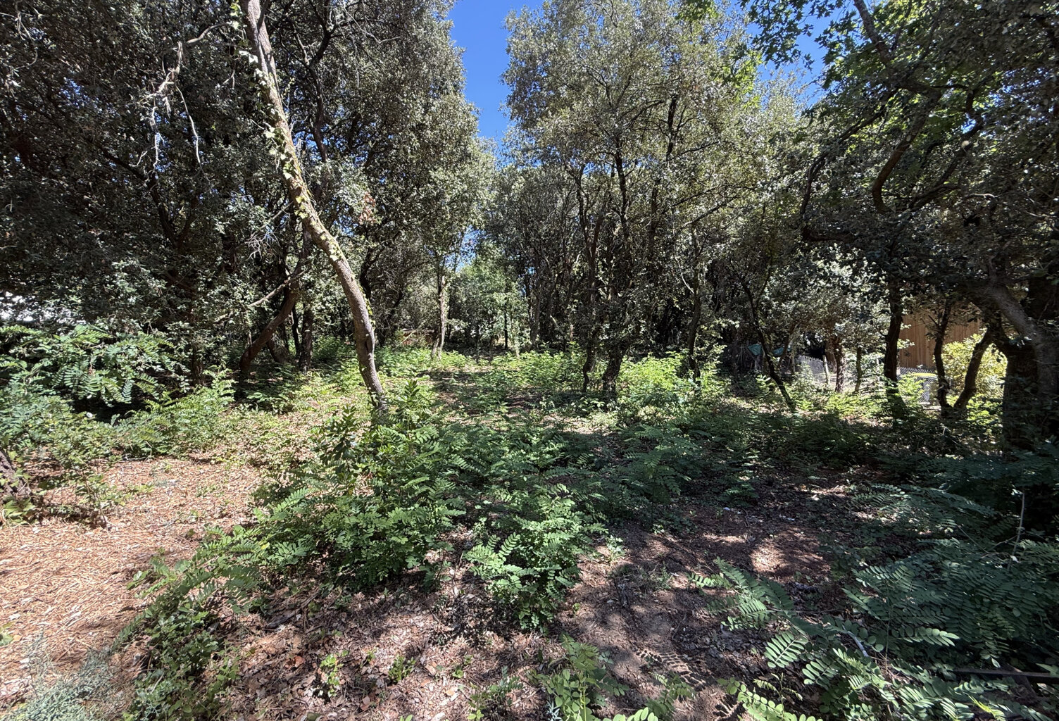 TERRAIN — photo 1