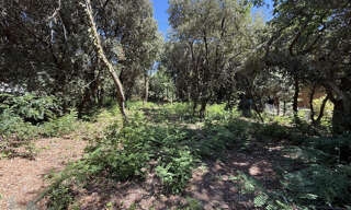 Terrain  1200 m² à vendre à Saint-Palais-sur-Mer (17420)