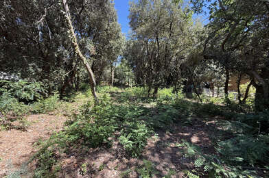 Terrain  904000 €