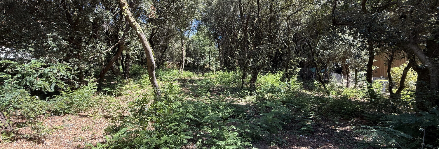 Terrain  1200 m² à vendre à Saint-Palais-sur-Mer (17420)