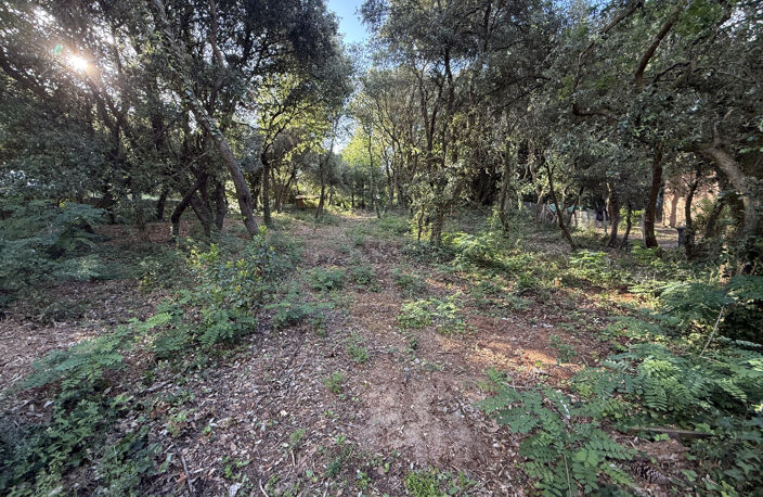 TERRAIN — photo 2