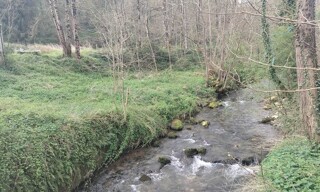 Photo N° 8