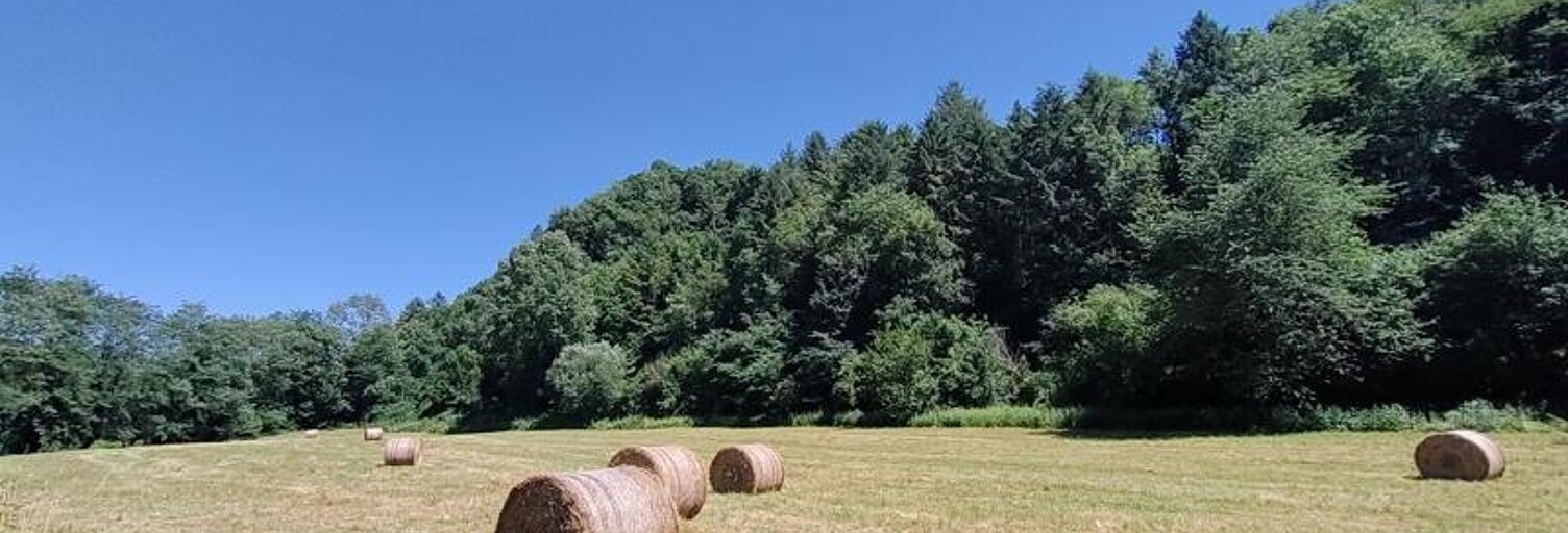 Maison 5 Pièces 120 m² à vendre à Castelnau-Durban (09420)