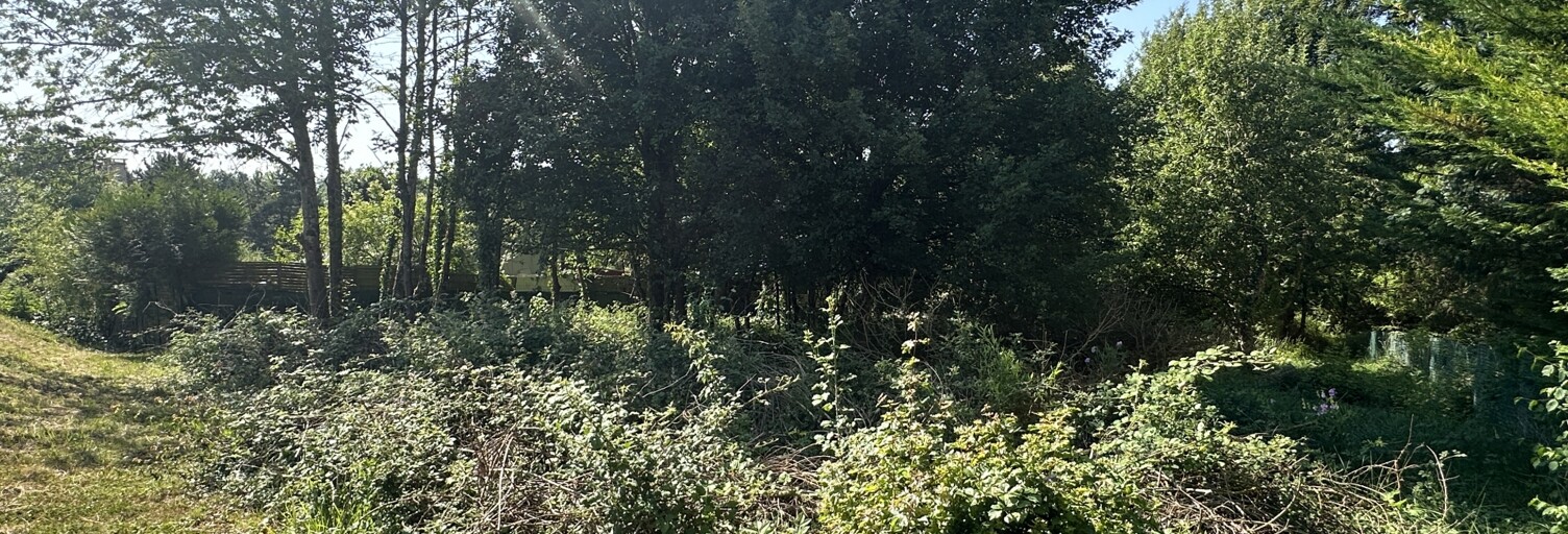 Terrain  1000 m² à vendre à Courtenay (45320)