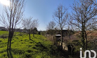 Photo N° 14