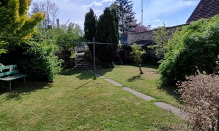 Photo N° 8