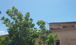 Photo N° 3
