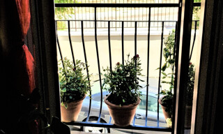 Photo N° 6