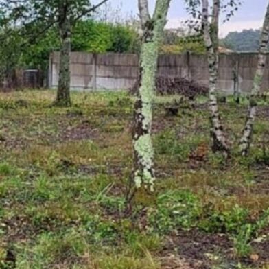 Terrain  420000 €