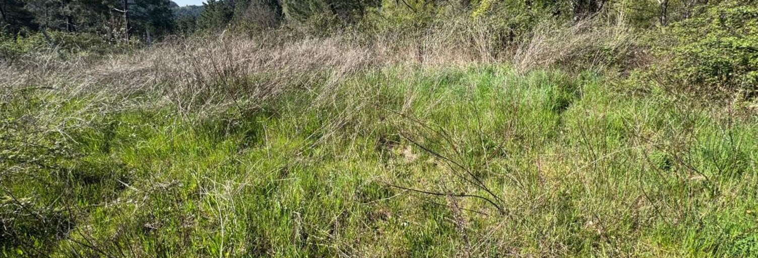 Terrain  673 m² à vendre à Laval-Pradel (30110)