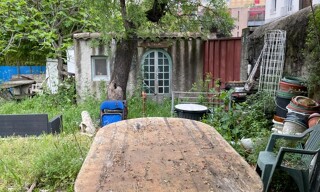 Photo N° 3