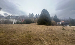 Photo N° 5