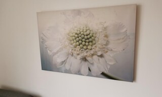 Photo N° 3