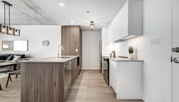 Appartement 4 pièces  à vendre Tournefeuille 31170