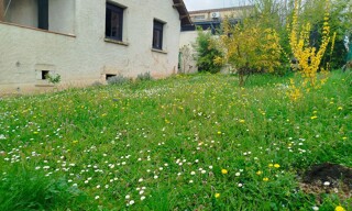 Photo N° 16