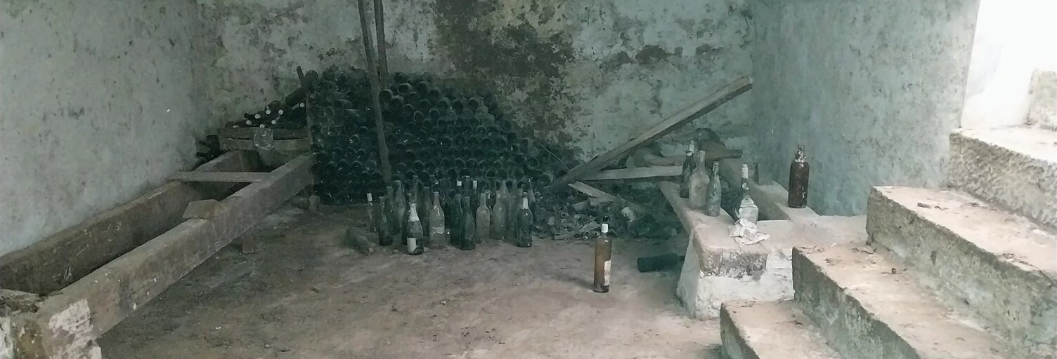 Maison 7 Pièces 130 m² à vendre à Argenton-sur-Creuse (36200)