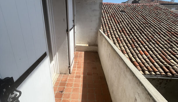 Appartement 3 pièces  à louer Montpellier 34000