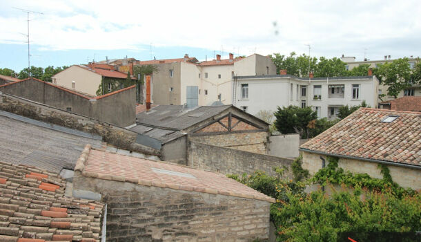 Appartement 3 pièces  à louer Montpellier 34000