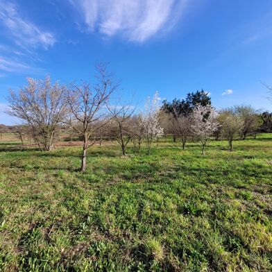 Terrain  175000 €