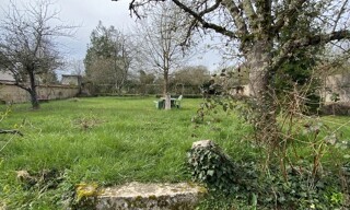Photo N° 4