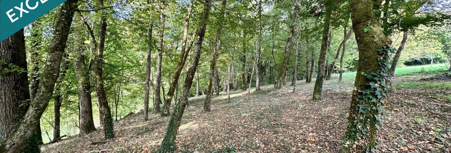 Maison 5 Pièces 145 m² à vendre à Saint-Sauvant (17610)