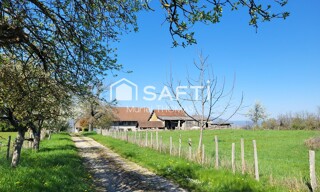 Photo N° 3