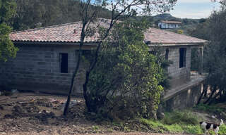 Terrain  3488 m² à vendre à Lecci (20137)