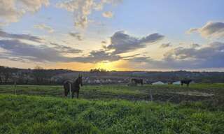 Terrain  6905 m² à vendre à Fargues-Saint-Hilaire (33370)