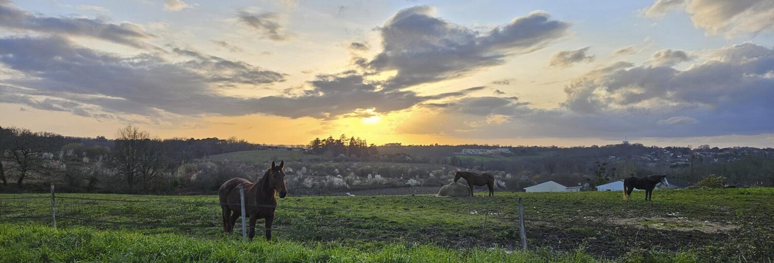 Terrain  6905 m² à vendre à Fargues-Saint-Hilaire (33370)
