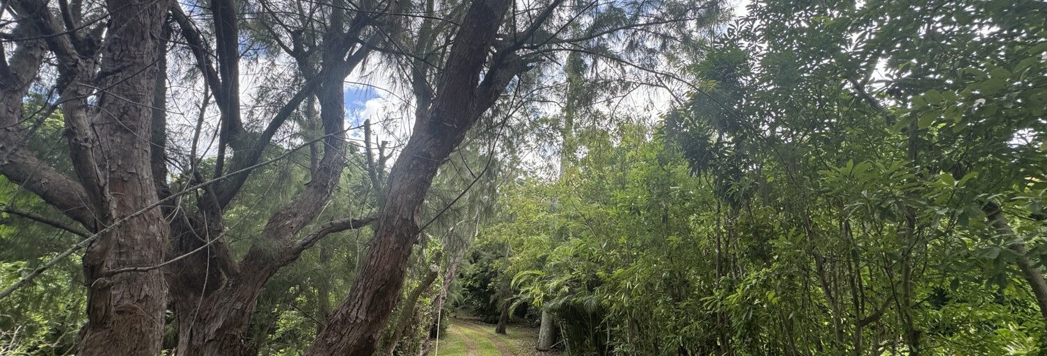 Terrain  3000 m² à vendre à Saint-Paul (97411)