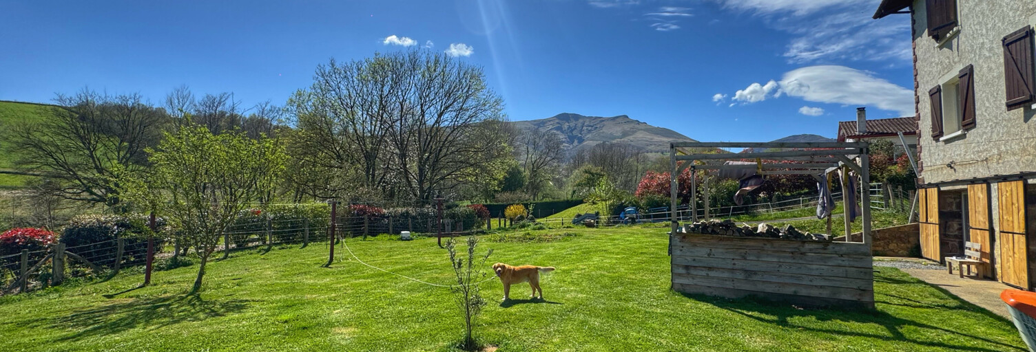 Maison 7 Pièces 236 m² à vendre à Saint-Jean-Pied-de-Port (64220)