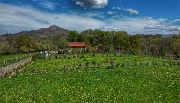 Villa / Maison 7 pièces  à vendre Saint-Jean-Pied-de-Port 64220