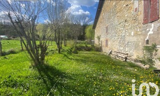 Photo N° 5