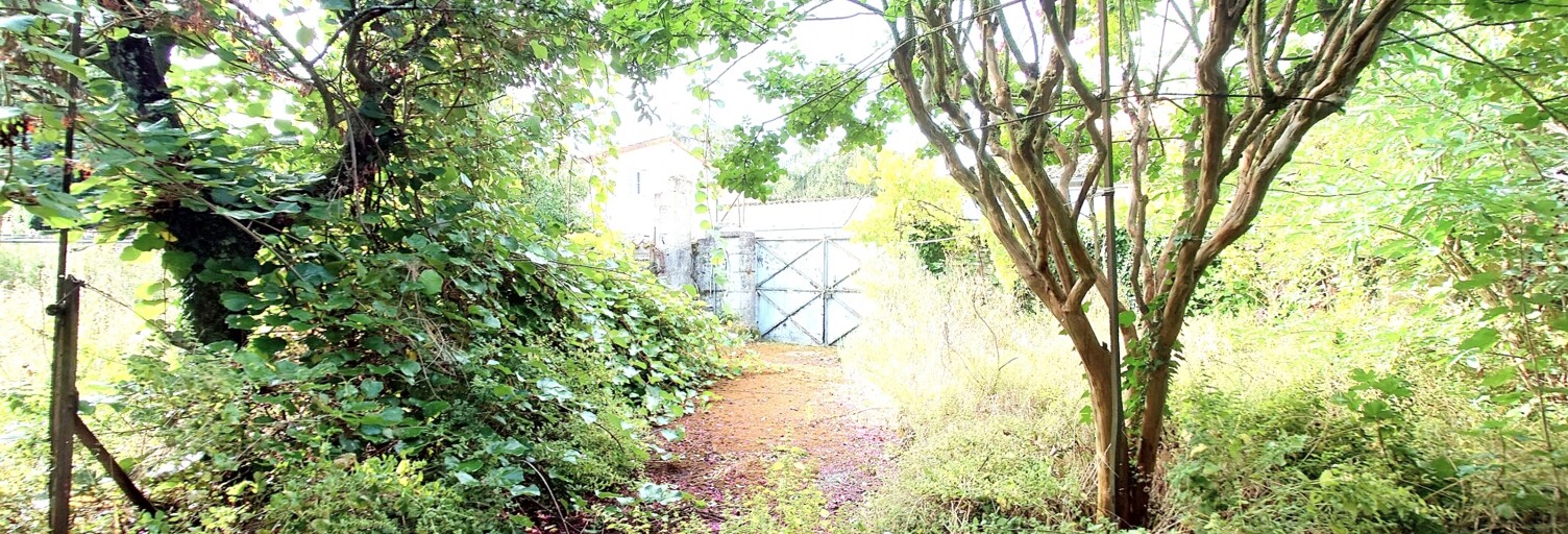 Maison 6 Pièces 176 m² à vendre à Usson-du-Poitou (86350)