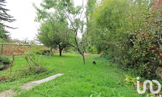 Photo N° 15