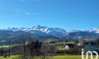 Photo N° 15