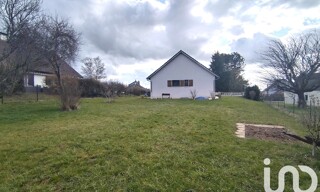 Photo N° 4