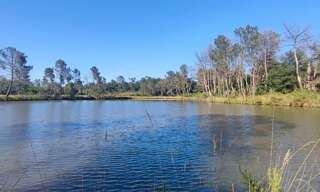 Maison 15 Pièces 287 m² à vendre à La Roche-Chalais (24490)