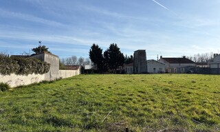 Photo N° 5
