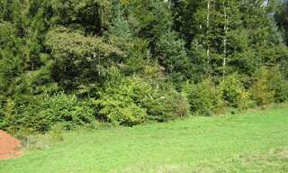 Terrain  800 m² à vendre à Bethonvilliers (90150)