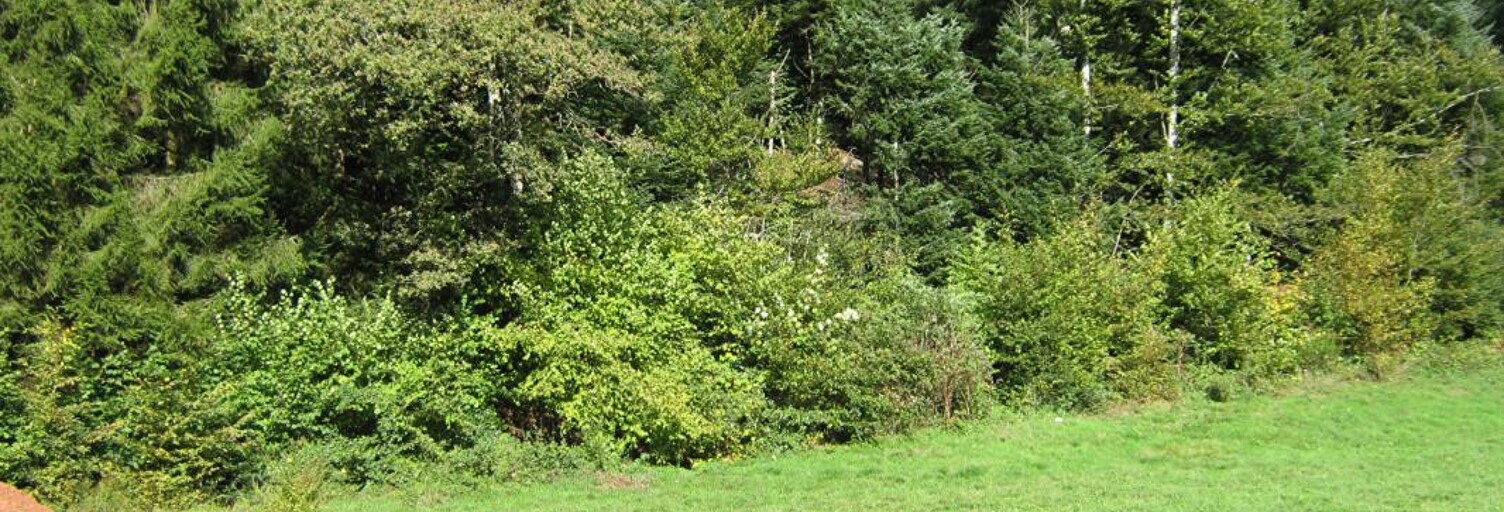 Terrain  800 m² à vendre à Bethonvilliers (90150)