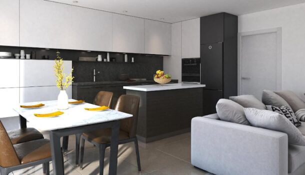 Appartement 3 pièces  à vendre Afa 20167
