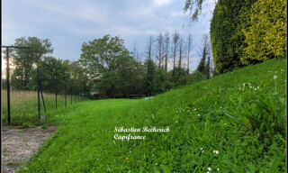 Photo N° 16