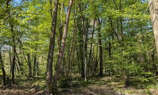 Terrain  7253 m² à vendre à Guignes (77390)