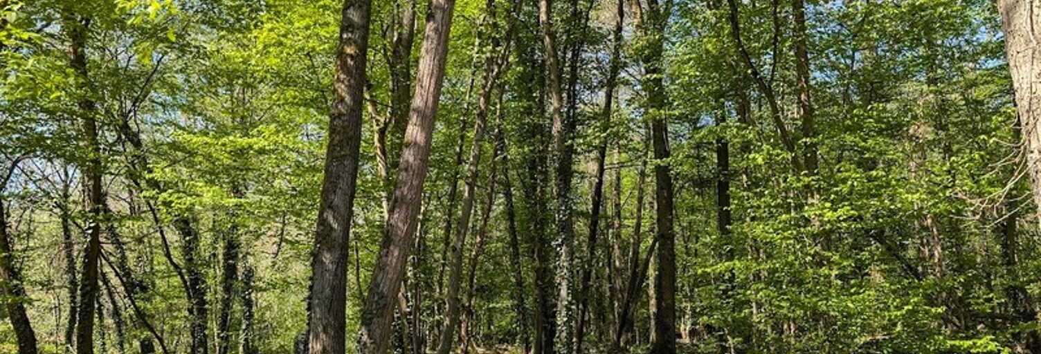 Terrain  7253 m² à vendre à Guignes (77390)