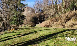Photo N° 5