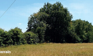 Photo N° 3