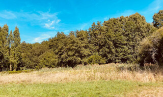 Terrain 980 m² à construire Sallebœuf (33370)