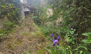 Photo N° 6
