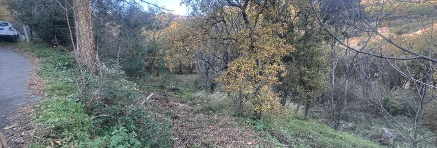 Terrain  2000 m² à vendre à Ville-di-Paraso (20279)